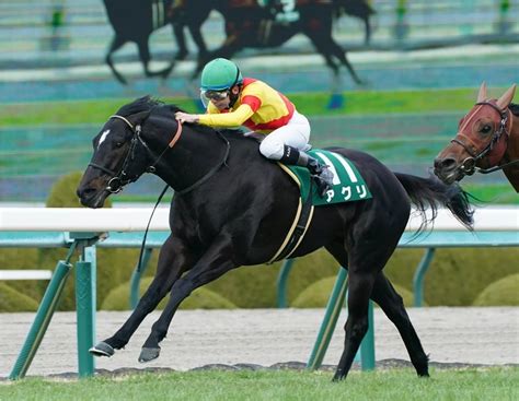 厩舎考察 安田隆行厩舎 シルクロードs2024編 人気薄推しのめったに当たらない馬券簿