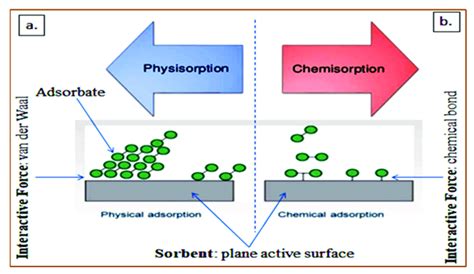 Adsorption Mechanisms Of A Physisorption And B Chemisorption