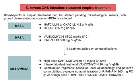 Staphylococcus aureus central nervous system infections: diagnosis and ...