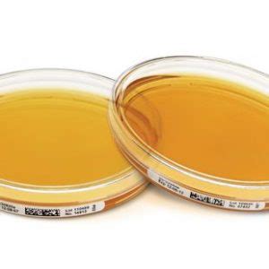 Tryptic Soy Agar LT ICRplus Pack Of 20 Ideal Medical Solutions