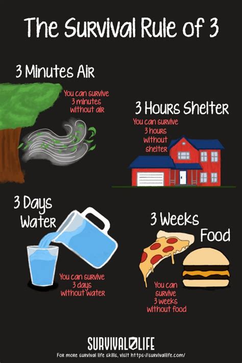 The Survival Guide To Survive In Minutes Or Less Info Graphic By