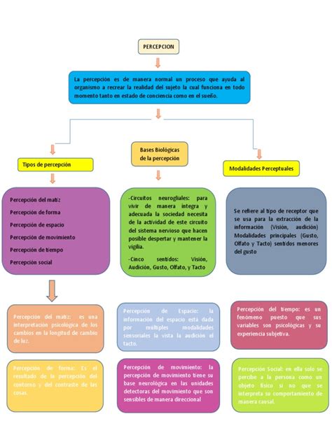 Mapa Conceptual Percepcion Pdf Percepción Percepción Visual
