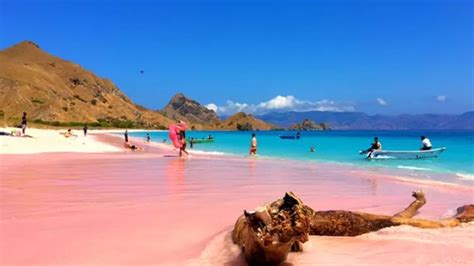 Suasana Pantai Penuh Cinta Kamu Perlu Rasakan Liburan Ke Pantai Pink