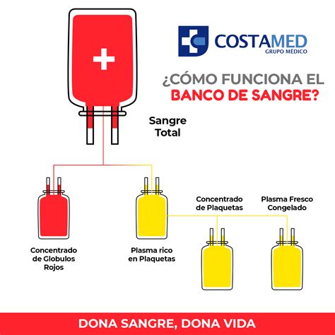 Como Funciona El Banco De Sangre Grupo M Dico Costamed