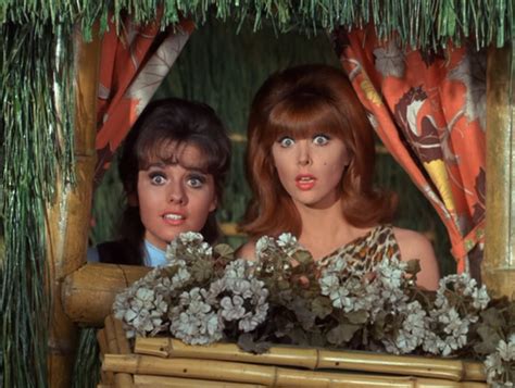 Mary Ann & Ginger | Tina louise, Old hollywood stars, Gilligan’s island