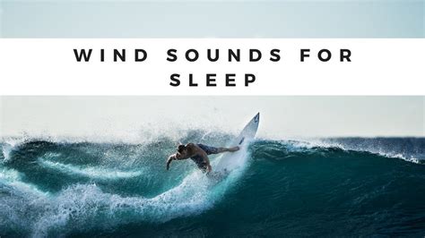 Wind Sounds For Sleep Howling Wind Sounds For Sleeping Relaxation