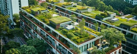 Green Roofs Implement Green Roofs With Vegetation And Greenery To