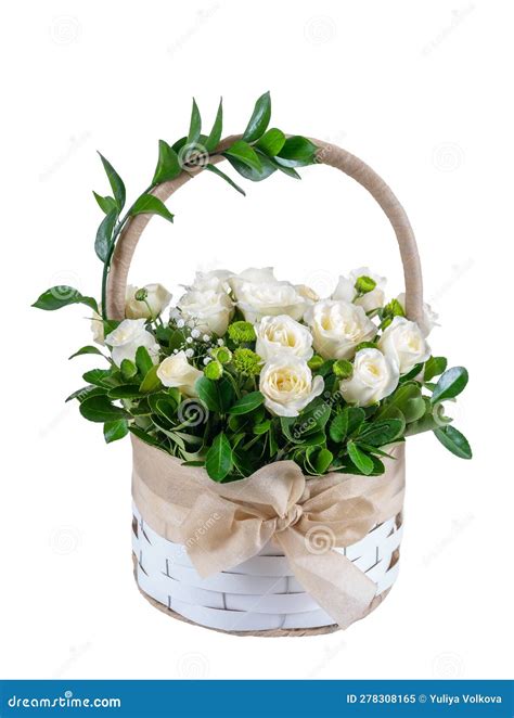 Basket With White Roses Isolated Stock Image Image Of Element