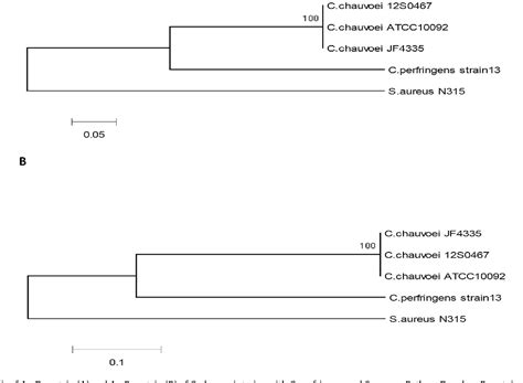 Table 1 From Characterization Of Quorum Sensing System In Clostridium