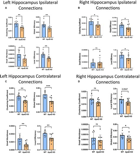 Frontiers Apolipoprotein E Deficiency Leads To Brain Network