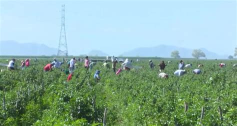 Jurisdicción Sanitaria 01 llevará a cabo brigadas de Salud para