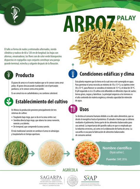 PDF Condiciones edáficas y clima Establecimiento del cultivo Usos