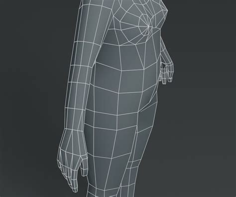 Artstation Female Body Fat Base Mesh 3d Model 1000 Polygons Game Assets