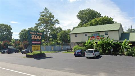 100 Animals Seized From Roadside Zoo In Criminal Investigation