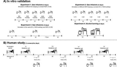 1 Indirect Calorimetry