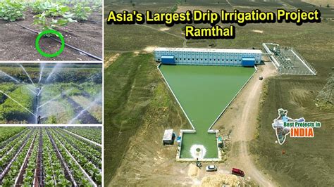 Worlds Biggest Drip Irrigation Project In India Irricheck Irrigation