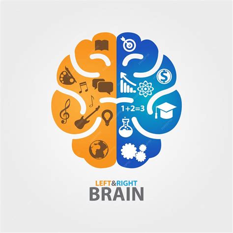 premium vector left   side   brain