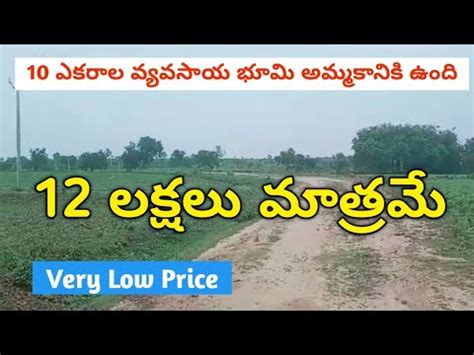 Acers Agriculture Land For Sale In Telangana Best Suitable For