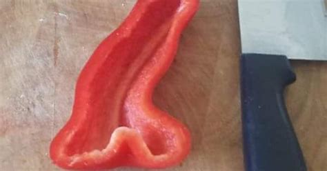 My Capsicum Looks Like A Penis Imgur