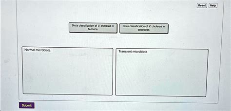 SOLVED: Reset Help Biota classification of V. cholerae in Biota classification of V. cholerae in ...