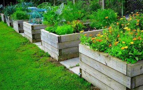 20 Diy Raised Garden Border Ideas Bed Gardening - Bank2home.com