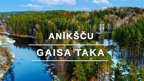 An K U Gaisa Taka Lietuv Treetop Walking Path Med I Laj Takas