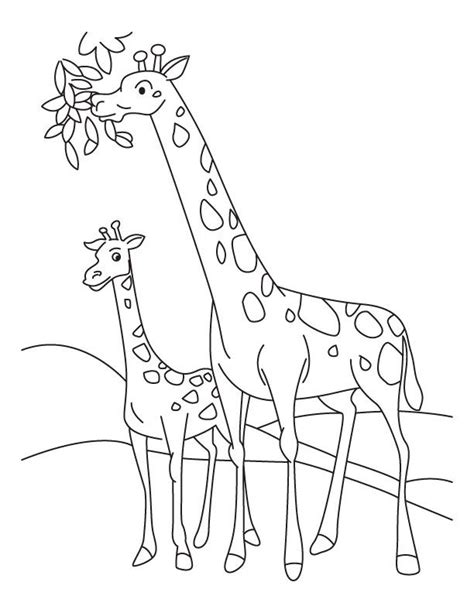 Coloring Giraffes Clip Art Library