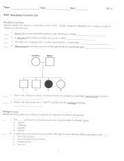 Mendel Genetics Test Pdf Name PAP Class Mendelian Genetics Date