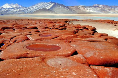 San Pedro De Atacama Red Rocks And Altiplano Lagoons Day Trip In Chile