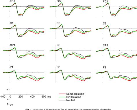 Figure From Electrophysiological Evidence For Relation Information