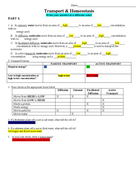 Copy Of Day Cell Transport Review Sheet Final Transport