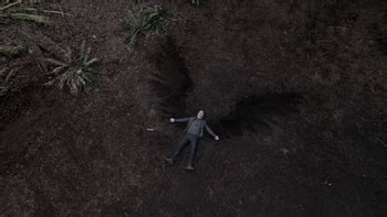 Gabriel Supernatural Wings