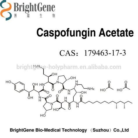 Caspofungin Acetate Antifungal Drugs