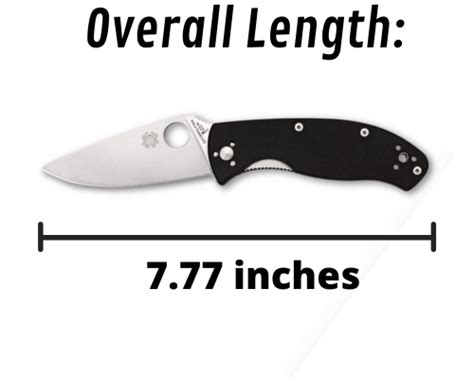 Spyderco Tenacious Vs Persistence [Which Knife Is Better For You ...