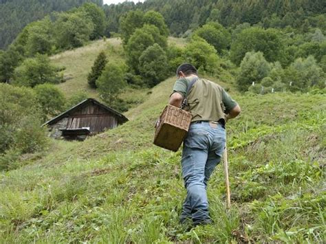 Montagna Cercatori Di Funghi Si Perdono Nel Bresciano Salvati Dal