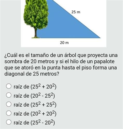 Ayuds Cu L Es El Tama O De Un Rbol Que Proyecta Una Sombra De