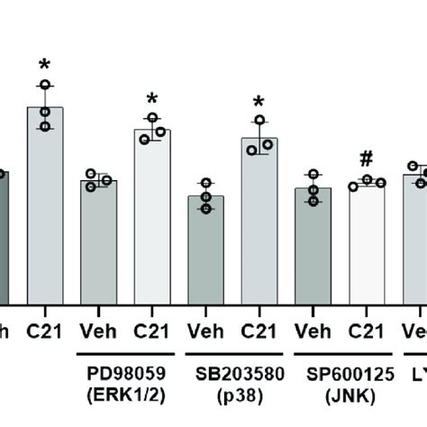 Effect Of Blockade Of Erk12 P38 Jnk And Pi3k On C21 Induced