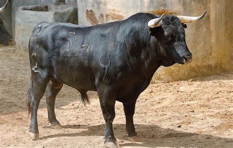 Orden de lidia de los toros de toros de Domingo Hernández y Garcigrande