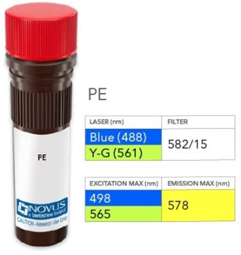 Lipase A Antibody PE Novus Biologicals 0 1 mL PE Antikörper Fisher