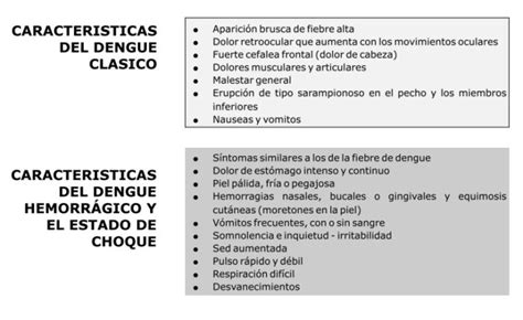 Qu Es El Dengue Hemorr Gico Soltv Peru