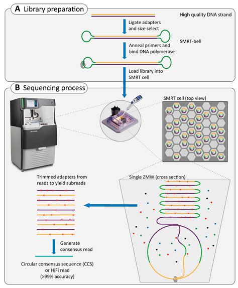 Ijms Free Full Text The Impact Of Modern Technologies On Molecular