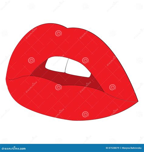 Woman Lips Vector Illustration Stock Vector Illustration Of Open