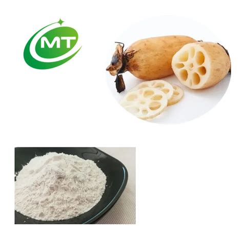 Natural Lotus Root Extract Powder With Free Sample Lotus Powder Buy