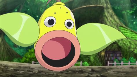 Ramos' Weepinbell | Pokémon Wiki | Fandom powered by Wikia