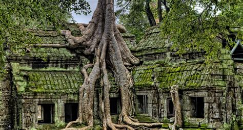 Angkor: The “Lost City” that Never Needed to be Discovered | Natural ...