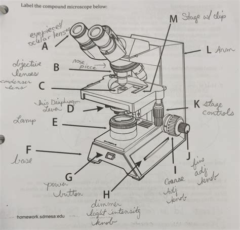 BIO 101 Lab Practical 1 Flashcards Quizlet