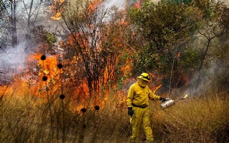 Michoacán mantiene cuarto lugar a nivel nacional en incendios