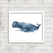 Vintage Sperm Whale Print X P Etsy Canada