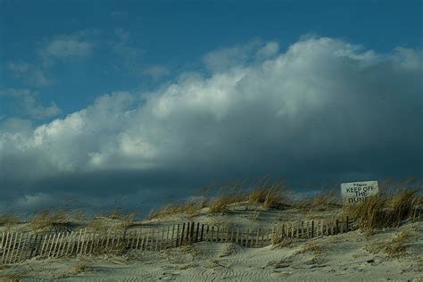 Robert Moses Beach Long Island Ny Fine Art Print By Jackie Connelly