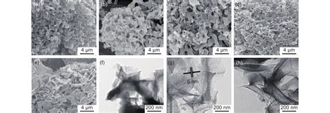 N S Co Doped Interconnected Porous Carbon Nanosheets As High